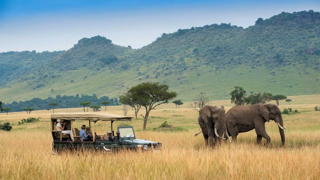 Descubre frica