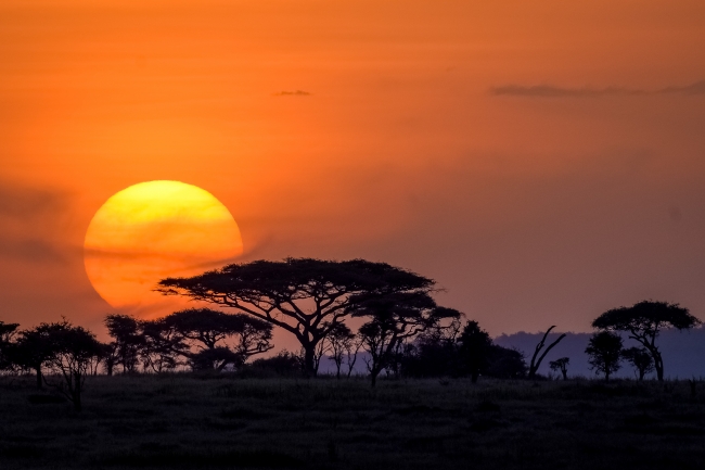 Descubre frica
