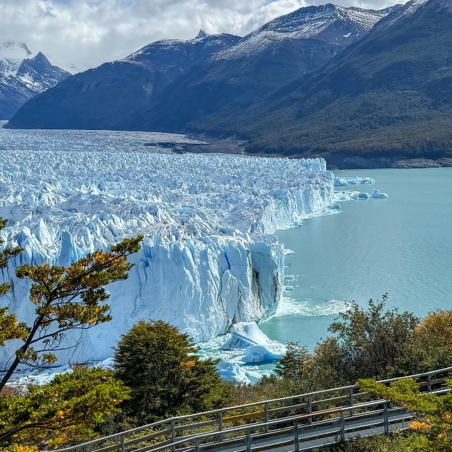 Promos que vuelan: Calafate