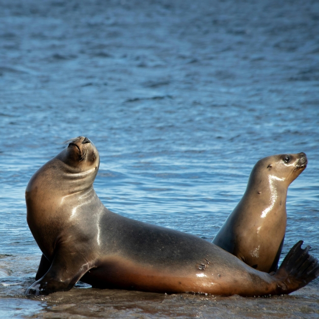 Puerto Madryn Areo